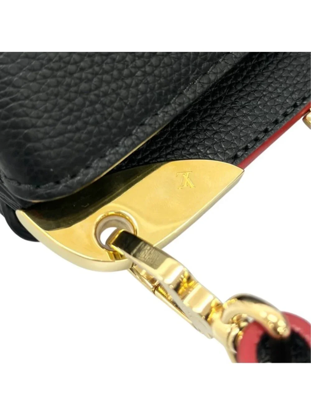 Louis Vuitton brand louis
